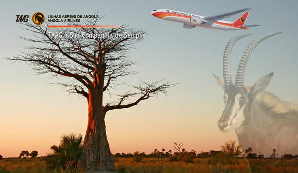 Taag angola airlines brand identity TAAG安哥拉航空公司品牌标识形象
