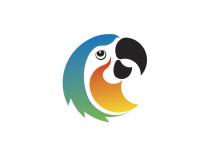 鹦鹉地板VI设计、专卖店设计